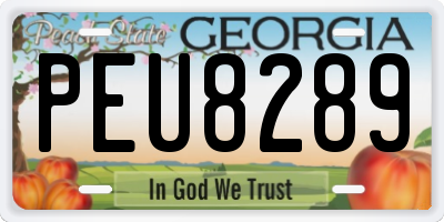 GA license plate PEU8289