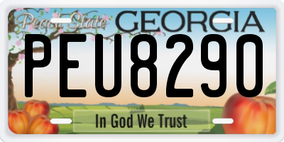 GA license plate PEU8290