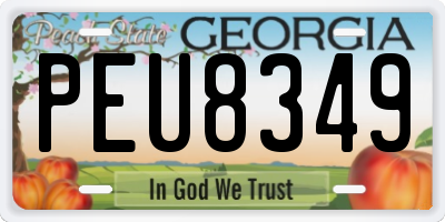 GA license plate PEU8349