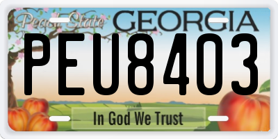 GA license plate PEU8403