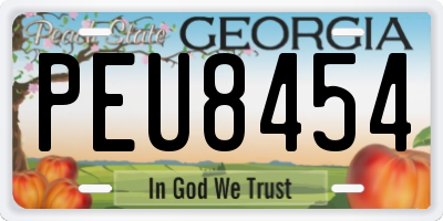 GA license plate PEU8454