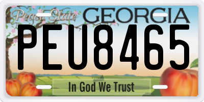 GA license plate PEU8465