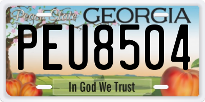 GA license plate PEU8504
