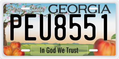 GA license plate PEU8551