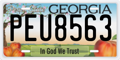 GA license plate PEU8563