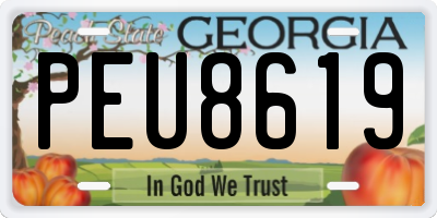 GA license plate PEU8619