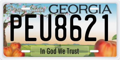 GA license plate PEU8621