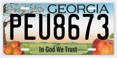 GA license plate PEU8673