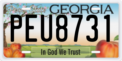 GA license plate PEU8731