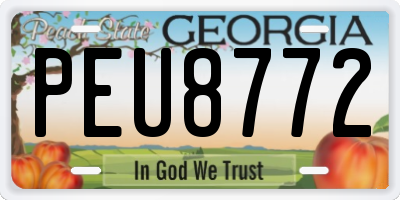 GA license plate PEU8772