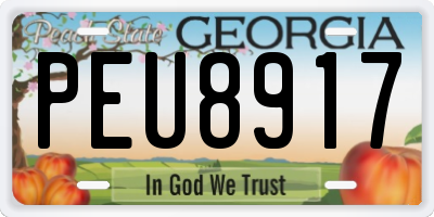 GA license plate PEU8917