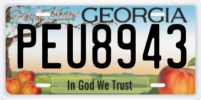 GA license plate PEU8943