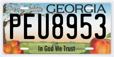 GA license plate PEU8953