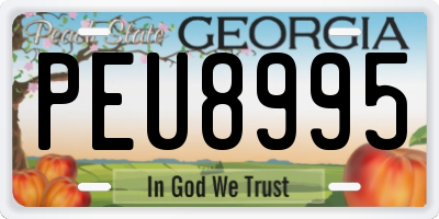 GA license plate PEU8995