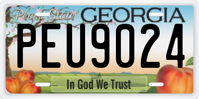 GA license plate PEU9024