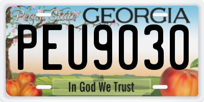 GA license plate PEU9030