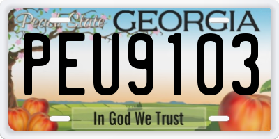 GA license plate PEU9103
