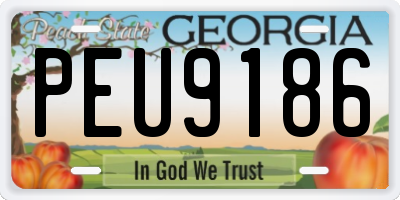 GA license plate PEU9186