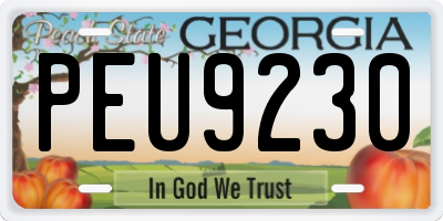 GA license plate PEU9230
