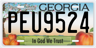 GA license plate PEU9524