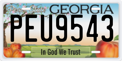 GA license plate PEU9543