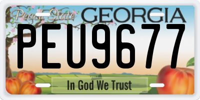 GA license plate PEU9677