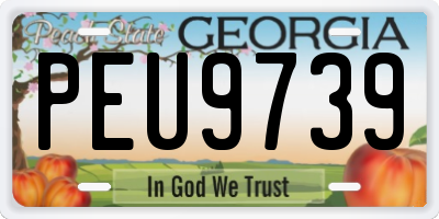 GA license plate PEU9739