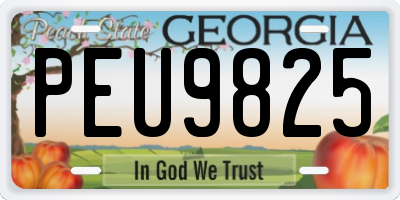 GA license plate PEU9825