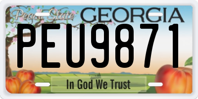 GA license plate PEU9871