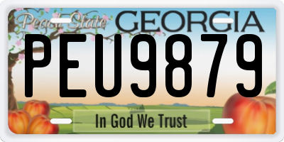 GA license plate PEU9879