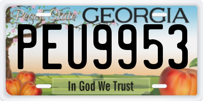 GA license plate PEU9953