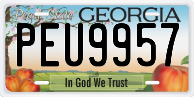 GA license plate PEU9957