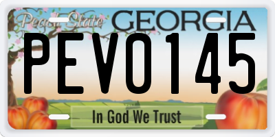 GA license plate PEV0145
