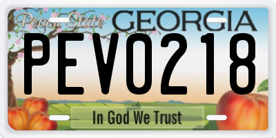 GA license plate PEV0218