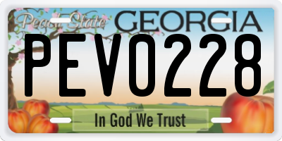 GA license plate PEV0228
