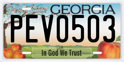 GA license plate PEV0503
