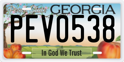 GA license plate PEV0538