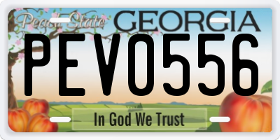 GA license plate PEV0556