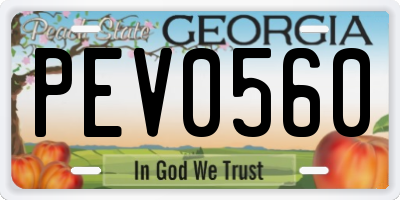 GA license plate PEV0560