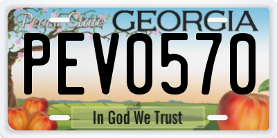 GA license plate PEV0570