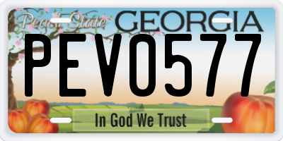 GA license plate PEV0577
