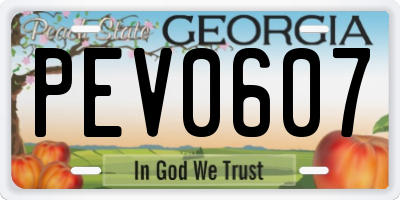 GA license plate PEV0607