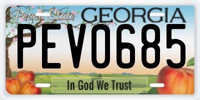 GA license plate PEV0685