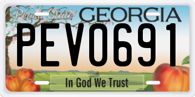 GA license plate PEV0691