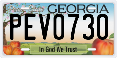 GA license plate PEV0730