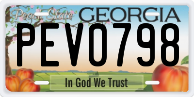 GA license plate PEV0798