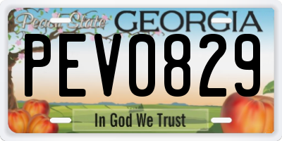 GA license plate PEV0829