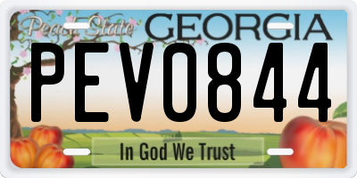 GA license plate PEV0844