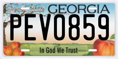 GA license plate PEV0859