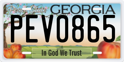 GA license plate PEV0865